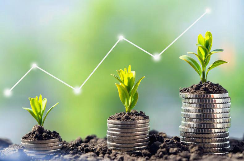 Kredyt ekologiczny BGK – Finansowanie dla ekologicznych inwestycji
