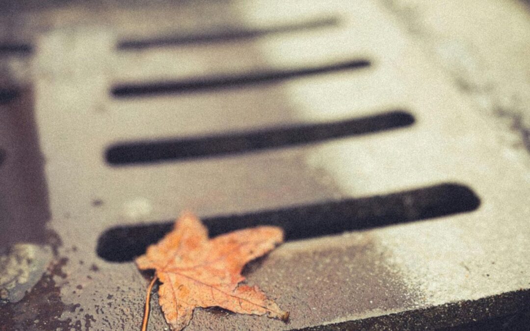 Ile zarabia szambonurek? Aktualny obraz rynku pracy utrzymania systemów kanalizacyjnych